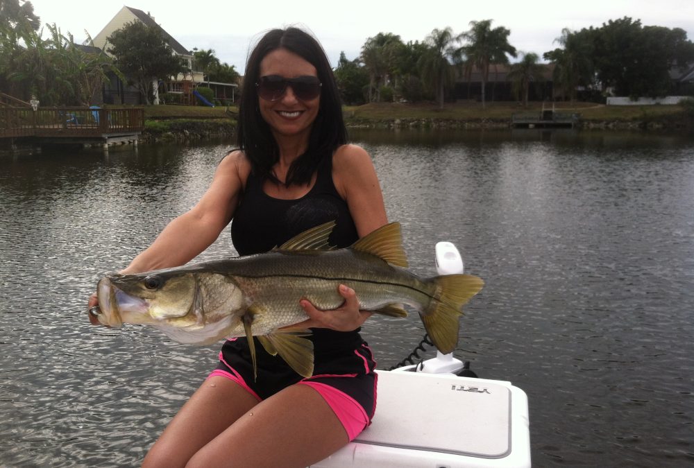 Snook