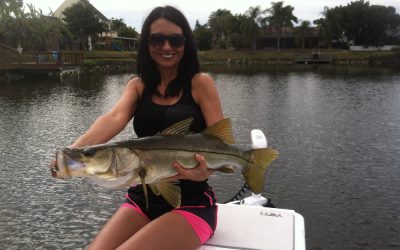 Snook
