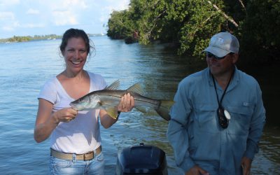 Snook