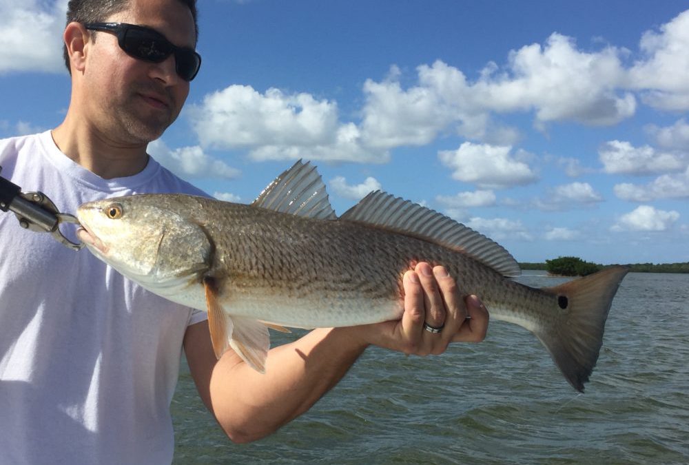 Windy But Good Fishing