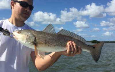 Windy But Good Fishing