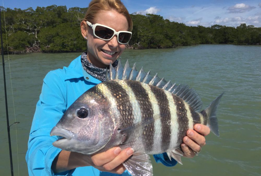 Fishing Winter in Fort Myers