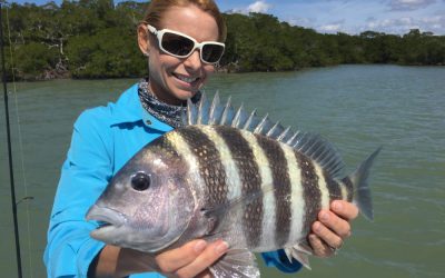 Fishing Winter in Fort Myers