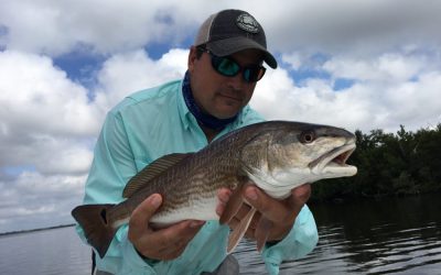 Winter fishing patterns