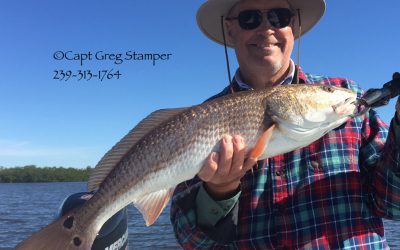 Fishings getting better