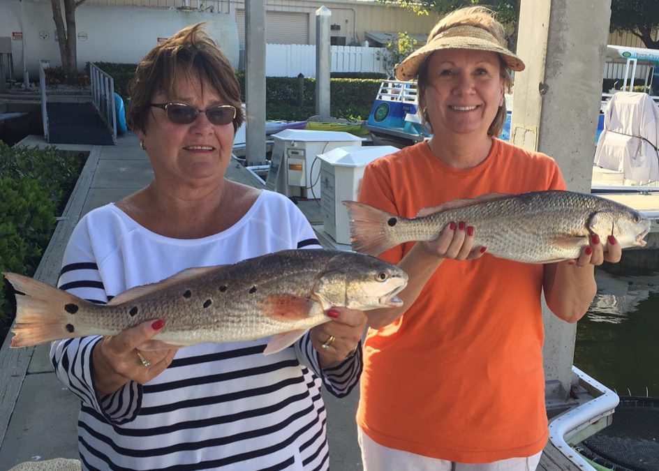 Redfish, snappers, sheepshead