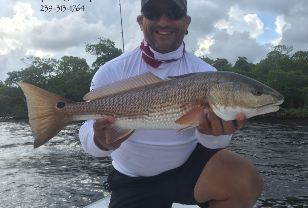 It’s Hot, and so is the Bite!