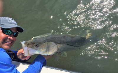 Fishing’s Good!