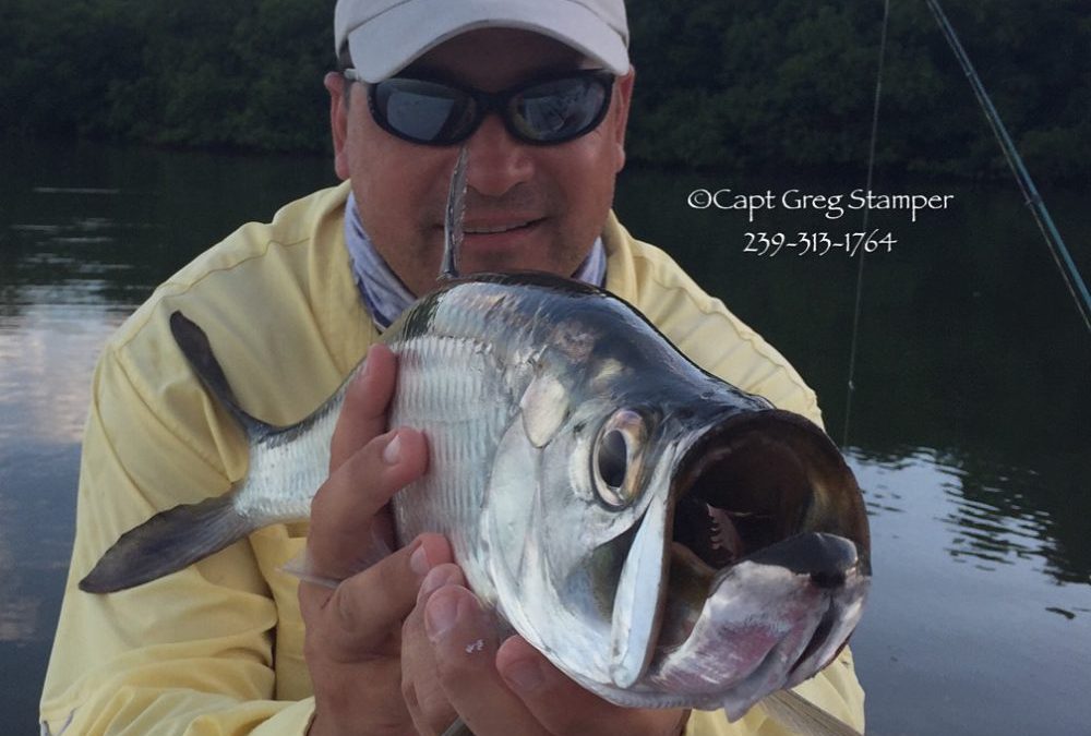 Tarpon bites been great