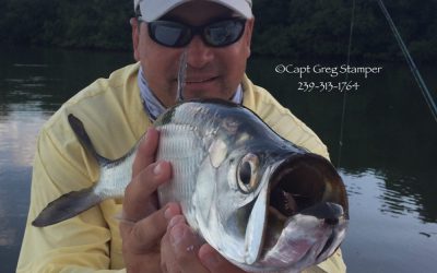 Tarpon bites been great