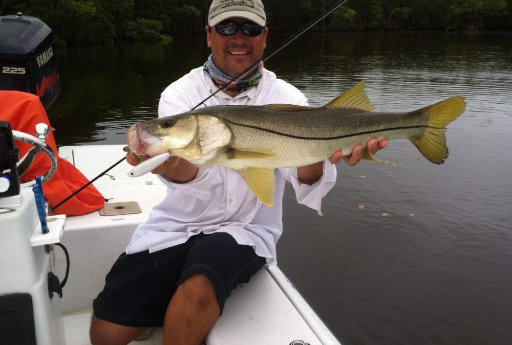 November is starting off strong