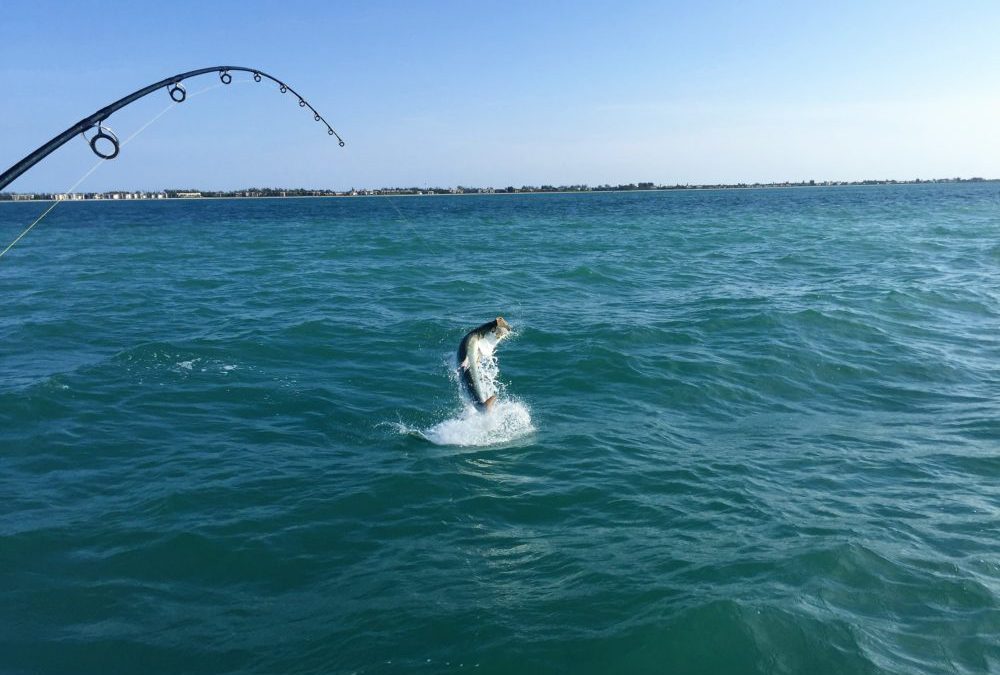 Great weather and great fishing