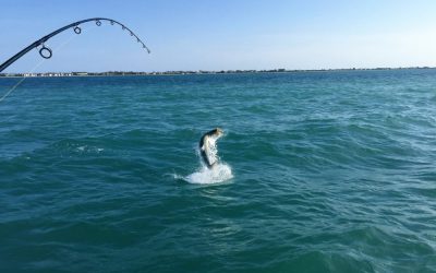 Great weather and great fishing
