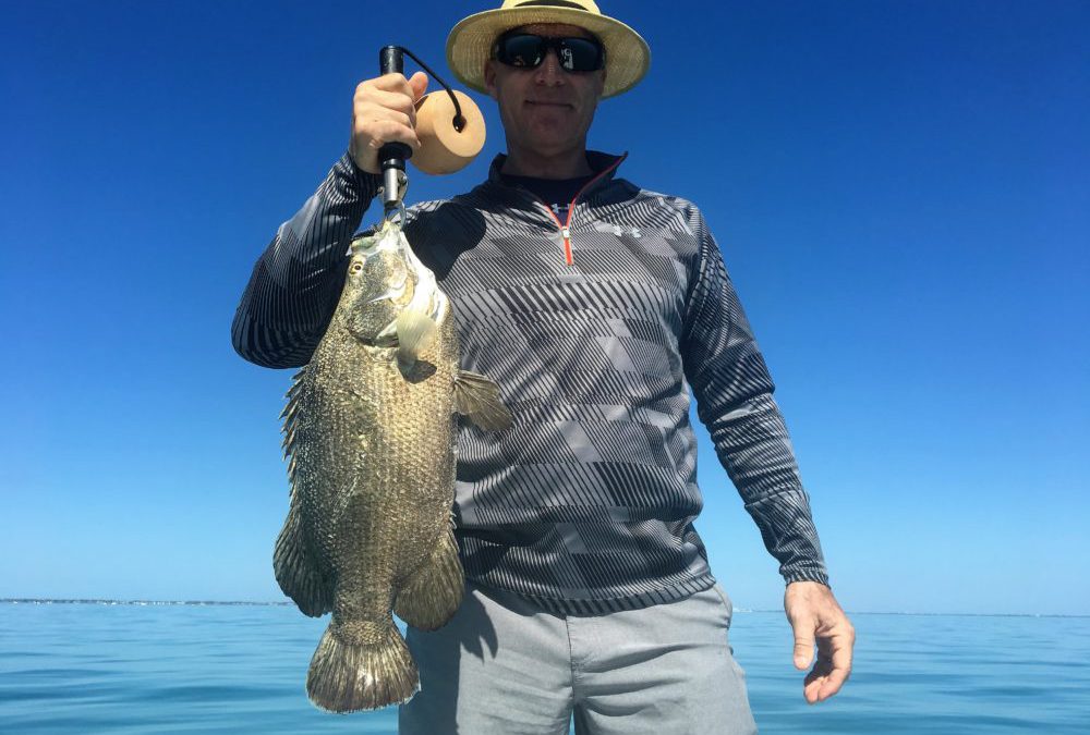 Spring is almost here!