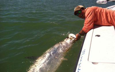 Fun fishing still going