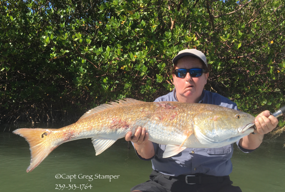 Fishing FortMyers beach area has been great!