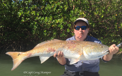 Fishing FortMyers beach area has been great!