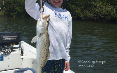 Time for Tarpon