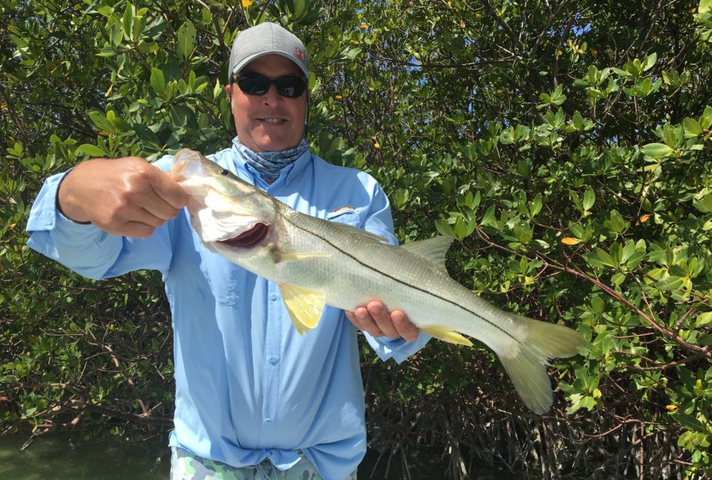 Excellent fishing report