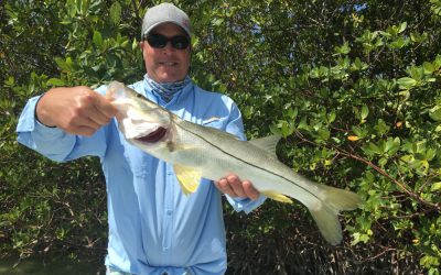Excellent fishing report