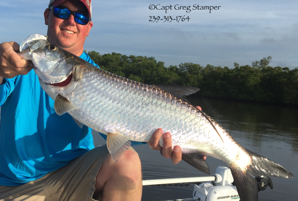 Tarpon still going full speed
