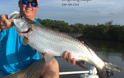 Tarpon still going full speed