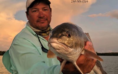 September 2019 fishing forecast