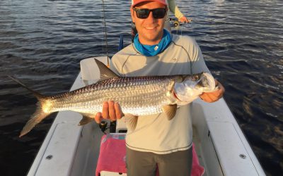 Here Fishy Fishy