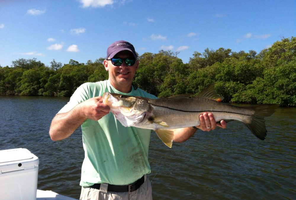 Snook whens and wheres