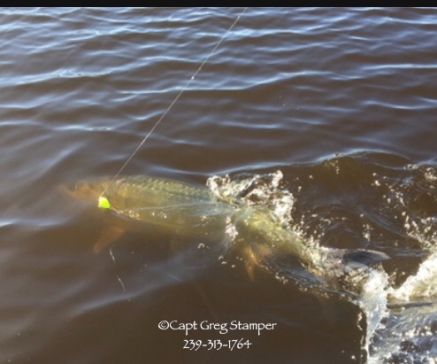 Shift your fishing time!