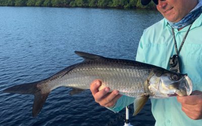 Tight lines