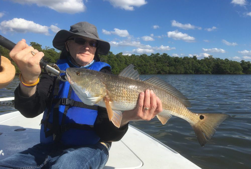 More rain, more fish