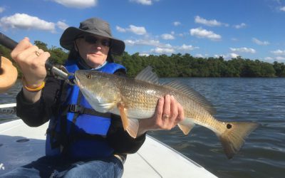 More rain, more fish