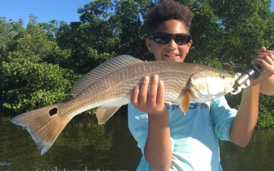 Excellent fishing