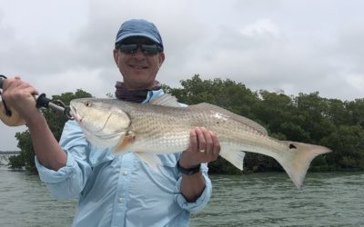 Great time of the year